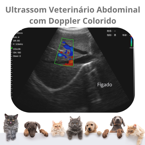 Ultrassom Portátil Veterinário SaúdeProView Handheld, WiFi, 128E 3 em 1