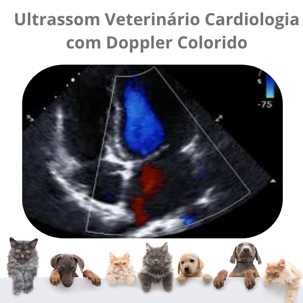 Ultrassom Portátil Veterinário  SaúdeProView Handheld, WiFi, 128E 3 em 1