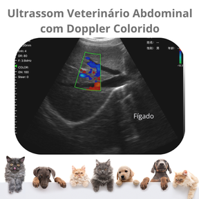 Ultrassom Portátil Veterinário  SaúdeProView Handheld, WiFi, 128E 3 em 1