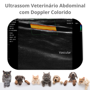 Ultrassom Portátil Veterinário  SaúdeProView Handheld, WiFi, 128E 3 em 1